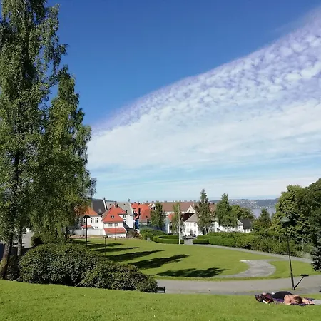 Cozy Apartment - Central! *